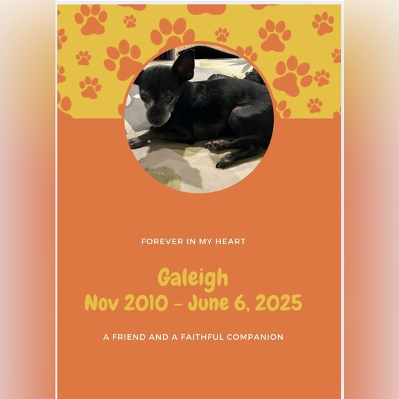 ๐ ZeeZee2000s Share Show - Picture 3 of 15